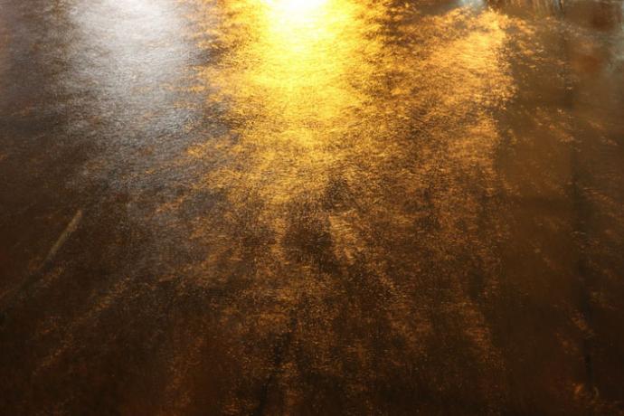 立教大学写真部 学外展「質」 立教大学写真部 学外展「質」