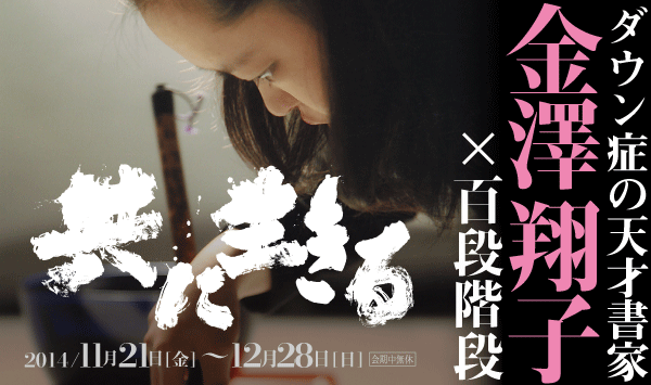 ダウン症の天才書家 金澤翔子×百段階段 たった一つの希望を探し続けた母と娘の物語 ダウン症の天才書家 金澤翔子×百段階段 たった一つの希望を探し続けた母と娘の物語
