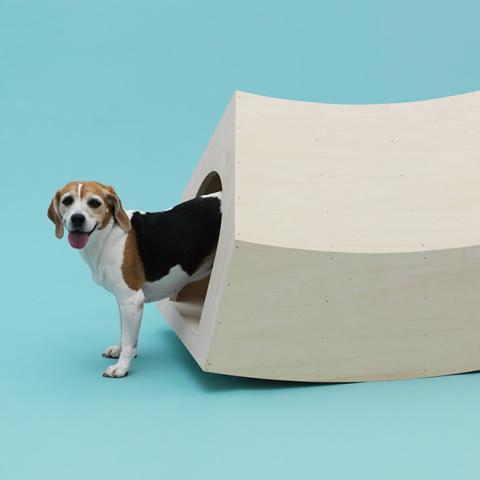 ARCHITECTURE FOR DOGS 犬のための建築