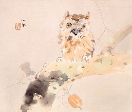 花と鳥の万華鏡 ―春草・御舟の花、栖鳳・松篁の鳥― 花と鳥の万華鏡 ―春草・御舟の花、栖鳳・松篁の鳥―