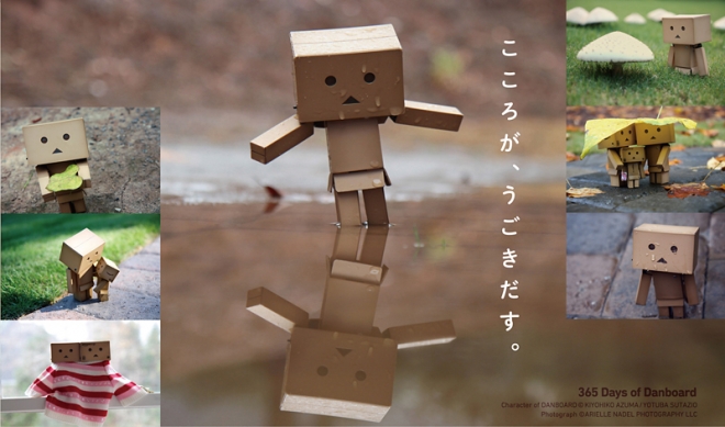 ダンボー写真展 Arielle Nadel“365 Days of Danboard” ダンボー写真展 Arielle Nadel“365 Days of Danboard”