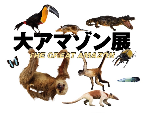 大アマゾン展 大アマゾン展