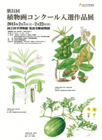 第31回植物画コンクール入選作品展 第31回植物画コンクール入選作品展