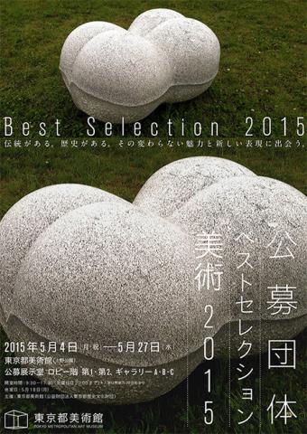公募団体ベストセレクション 美術 2015 公募団体ベストセレクション 美術 2015