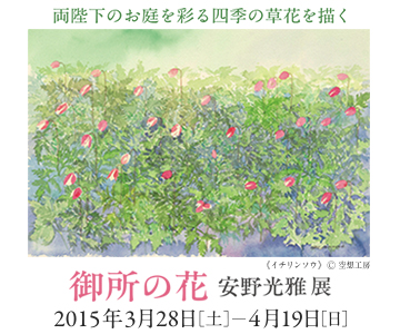 御所の花 安野光雅 展 御所の花 安野光雅 展