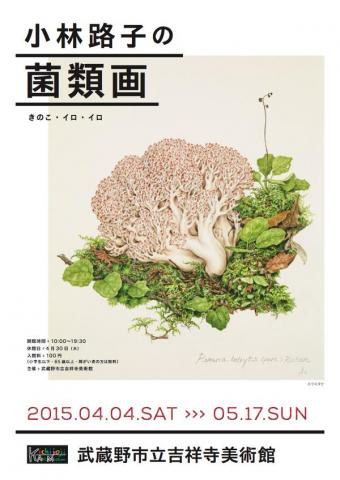小林路子の菌類画 きのこ・イロ・イロ 小林路子の菌類画 きのこ・イロ・イロ