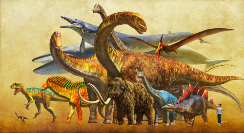 メガ恐竜展2015 -巨大化の謎にせまる メガ恐竜展2015 -巨大化の謎にせまる