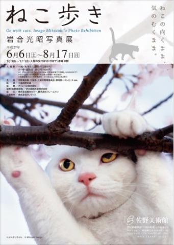 ねこの向くまま、気のむくまま。 岩合光昭写真展「ねこ歩き」 