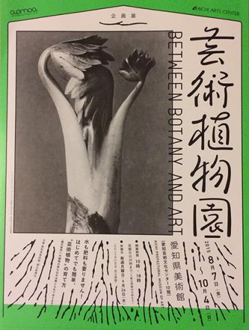 芸術植物園 芸術植物園