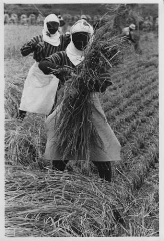 生誕100年 写真家・濱谷浩 ―もし写真に言葉があるとしたら 生誕100年 写真家・濱谷浩 ―もし写真に言葉があるとしたら