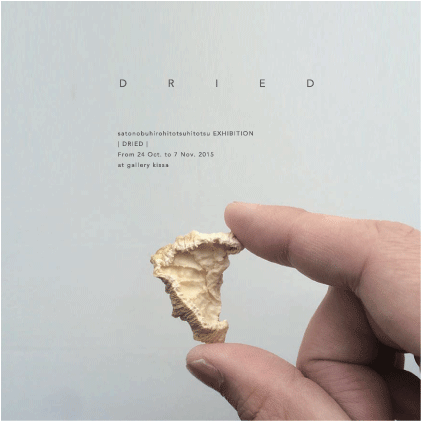 satonobuhirohitotsuhitotsu. EXHIBITION | DRIED | satonobuhirohitotsuhitotsu. EXHIBITION | DRIED |