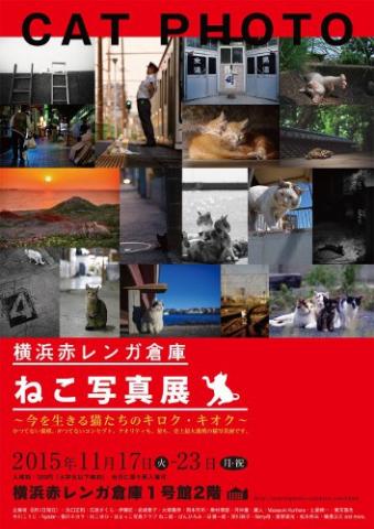 横浜赤レンガ倉庫 ねこ写真展 ~今を生きる猫たちのキロク・キオク~ 横浜赤レンガ倉庫 ねこ写真展 ~今を生きる猫たちのキロク・キオク~
