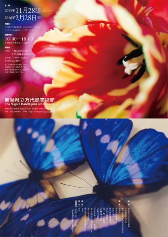 蜷川実花展 蜷川実花展