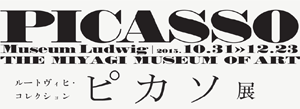 ルートヴィヒ・コレクション ピカソ展 ルートヴィヒ・コレクション ピカソ展