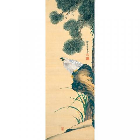 我が名は鶴亭 ―若冲、大雅も憧れた花鳥画(かっちょいいが)!? 我が名は鶴亭 ―若冲、大雅も憧れた花鳥画(かっちょいいが)!?