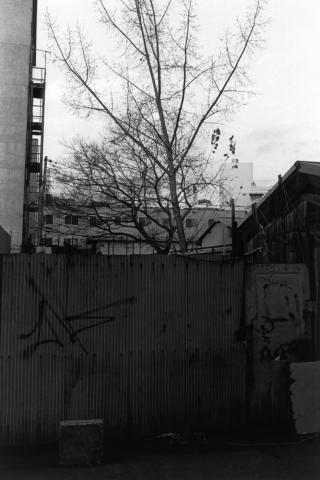 岸幸太写真展「ひなた、彼方」 岸幸太写真展「ひなた、彼方」
