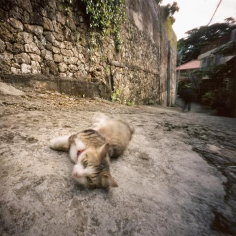 阪口智聡 ピンホール写真展 「記憶の町 那覇」 阪口智聡 ピンホール写真展 「記憶の町 那覇」