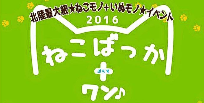 2016ねこばっか+ワン