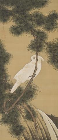 生誕300年 若冲の京都 KYOTOの若冲 生誕300年 若冲の京都 KYOTOの若冲
