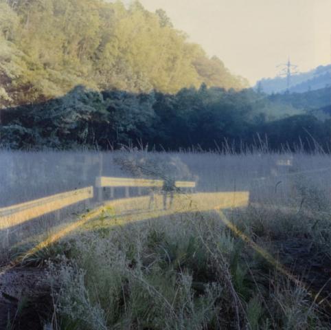 やましたみか個展「それは、ただ、美しい」 やましたみか個展「それは、ただ、美しい」