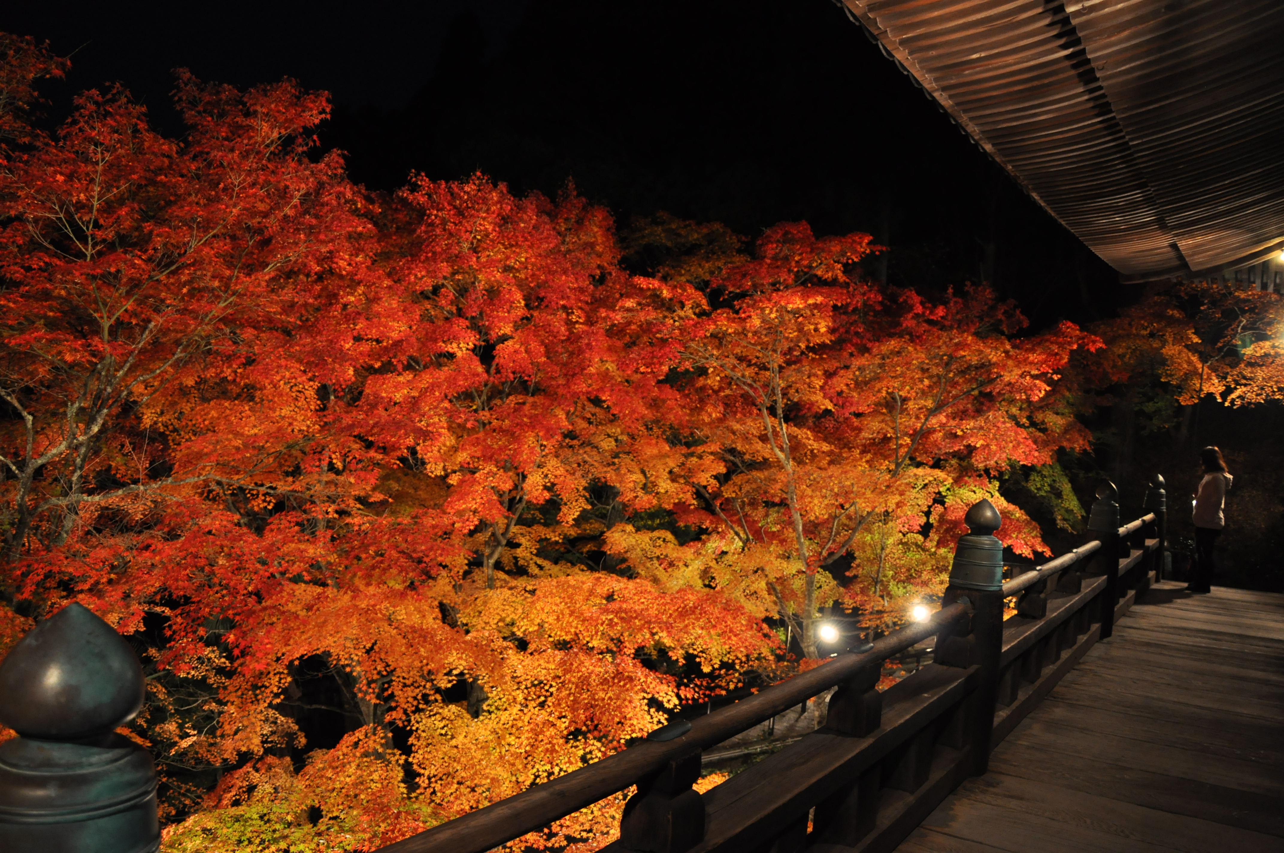 西国三十三所第 25 番札所 播州清水寺 で 秋の紅葉ライトアップ Shareart