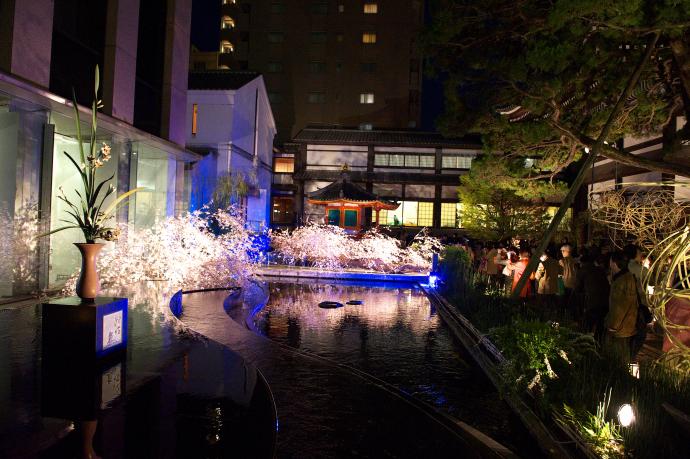 【展覧会】池坊「六角堂 夜の特別拝観」「春のいけばな展」 【展覧会】池坊「六角堂 夜の特別拝観」「春のいけばな展」