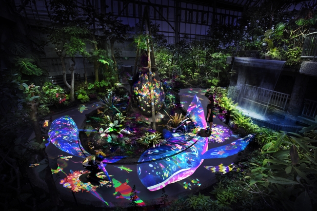 【デジタルアート】チームラボ 宇部市ときわ公園 2017 グラフィティ ネイチャー - 世界を旅する植物に住まう生き物たち 【デジタルアート】チームラボ 宇部市ときわ公園 2017 グラフィティ ネイチャー - 世界を旅する植物に住まう生き物たち