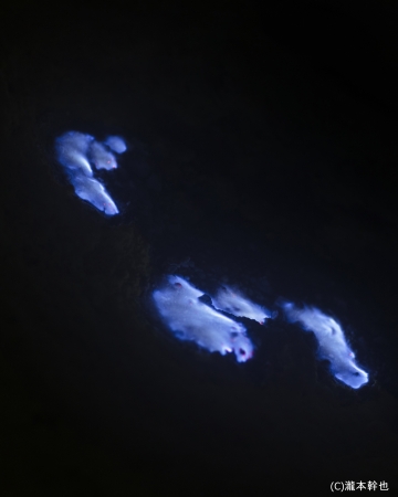【写真展】瀧本幹也写真展「FLAME/SURFACE」 【写真展】瀧本幹也写真展「FLAME/SURFACE」