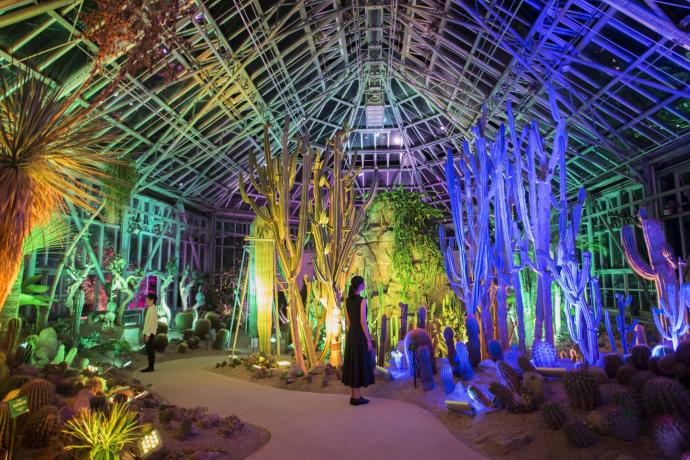 【デジタルアート】チームラボ 宇部市ときわ公園 2017 - 世界を旅する植物に住まう生き物たち 【デジタルアート】チームラボ 宇部市ときわ公園 2017 - 世界を旅する植物に住まう生き物たち