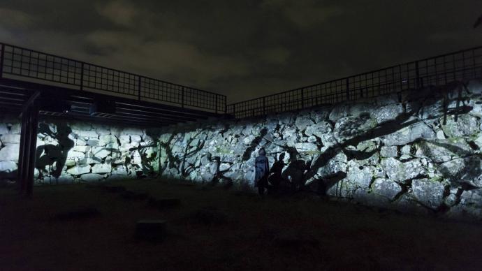 【デジタルアート】「福岡城 チームラボ 城跡の光の祭」