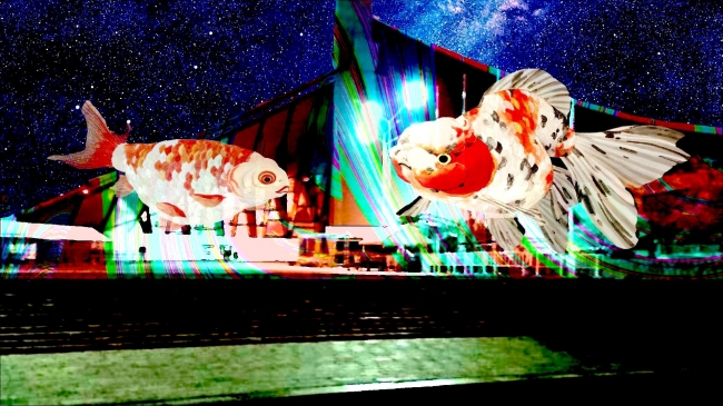 「空飛ぶ金魚at代々木体育館」 「空飛ぶ金魚at代々木体育館」