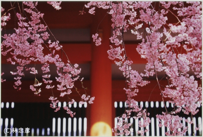 【写真展】キヤノンフォトコレクション林忠彦写真展「東海道」 【写真展】キヤノンフォトコレクション林忠彦写真展「東海道」
