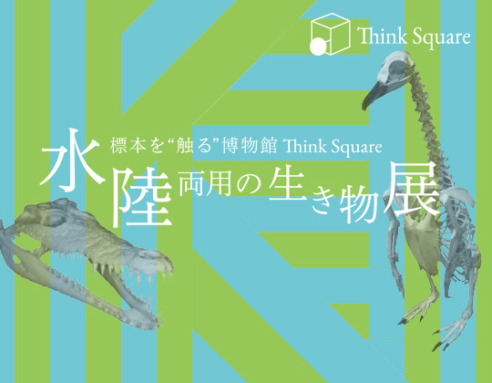 “Think Square”「水陸両用の生き物展」