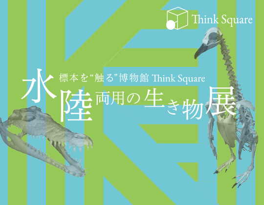 “Think Square”「水陸両用の生き物展」 “Think Square”「水陸両用の生き物展」