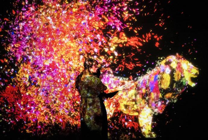 【デジタルアート】ABS秋田放送開局65周年 チームラボ 踊る！アート展と、学ぶ！未来の遊園地