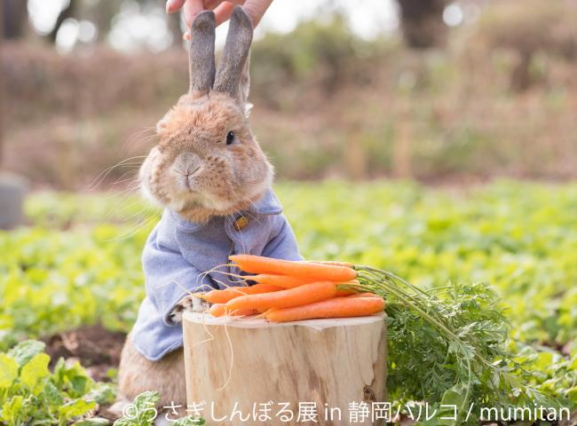 うさぎの合同写真＆物販展「うさぎしんぼる展 in 静岡パルコ」