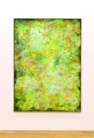 【個展】小野 仁美 展 矯 め つ 眇 め つ(タ メ ツ ス ガ メ ツ) 【個展】小野 仁美 展 矯 め つ 眇 め つ(タ メ ツ ス ガ メ ツ)