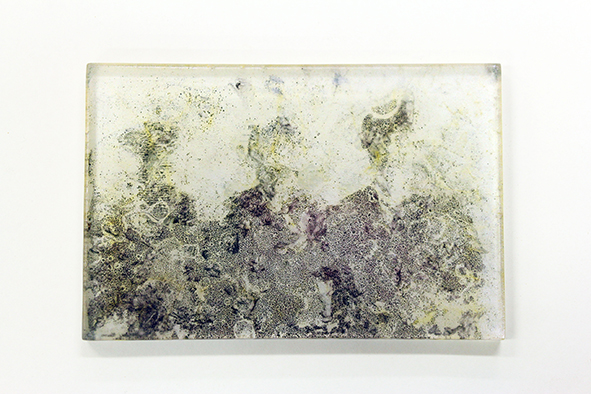 石川慎平個展 -残像の記憶- 石川慎平個展 -残像の記憶-