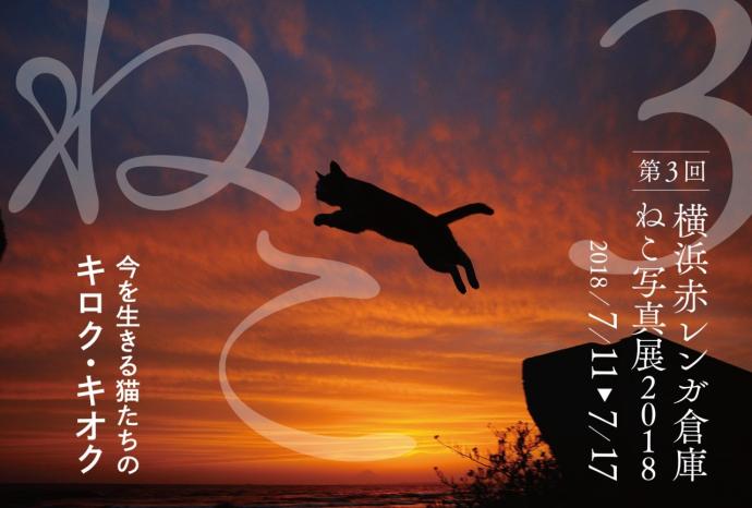 横浜赤レンガ倉庫 ねこ写真展2018 横浜赤レンガ倉庫 ねこ写真展2018