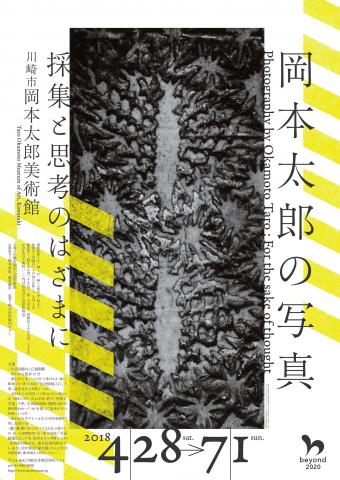 岡本太郎の写真－採集と思考のはざまに