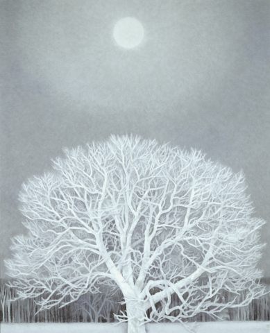 東山魁夷展(東京展) 東山魁夷展(東京展)