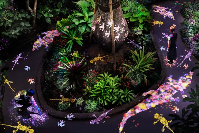 チームラボ 宇部市ときわ公園 2018 世界を旅する植物と、花と共に生きる動物たち チームラボ 宇部市ときわ公園 2018 世界を旅する植物と、花と共に生きる動物たち