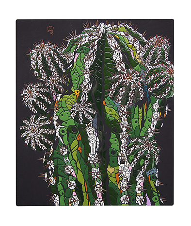 Cactus -西谷拓磨 個展- Cactus -西谷拓磨 個展-