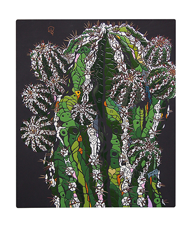 Cactus　-西谷拓磨 個展-