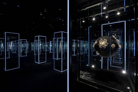 Feel the Pearl 感じるパール展 Feel the Pearl 感じるパール展