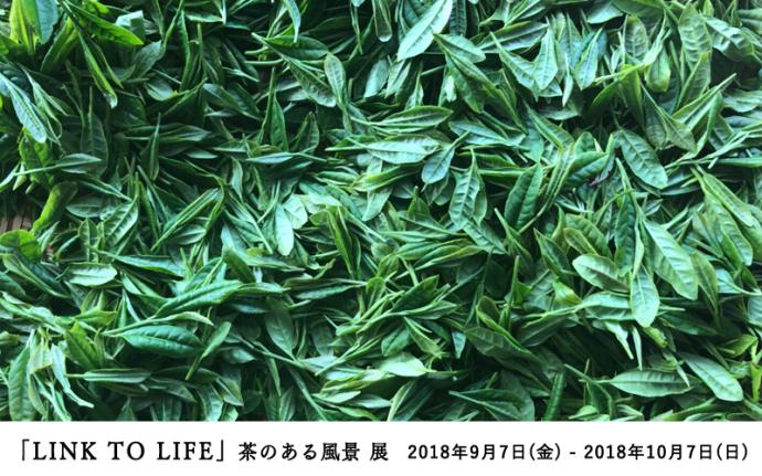 ATELIER MUJI『「LINK TO LIFE」茶のある風景』展