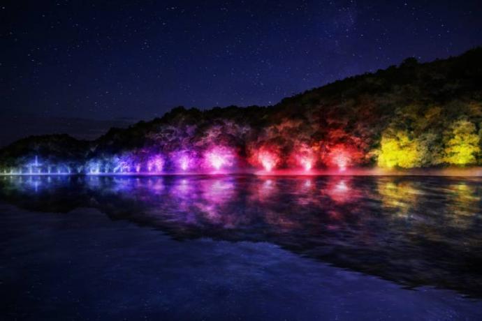 チームラボ 森と湖の光の祭 チームラボ 森と湖の光の祭