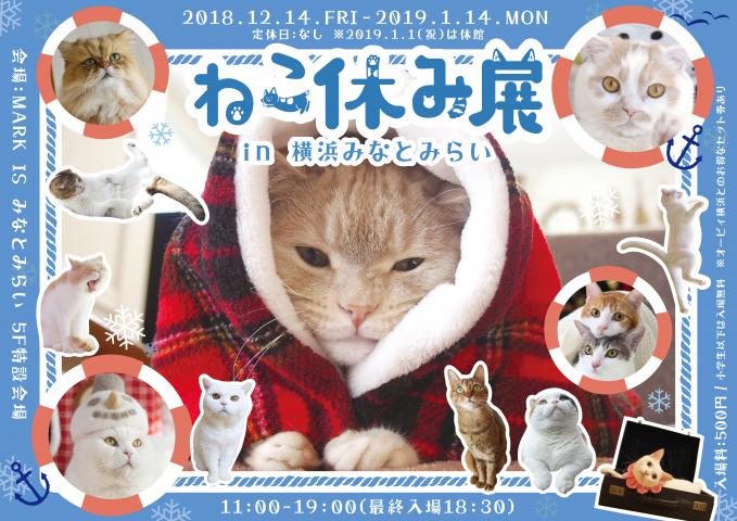 ねこ休み展 in 横浜みなとみらい