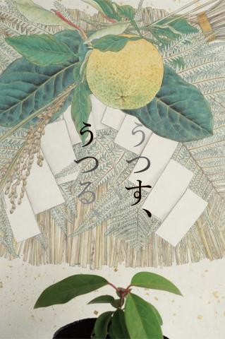 「 うつす、 うつる、:中尾美園 展」 「 うつす、 うつる、:中尾美園 展」