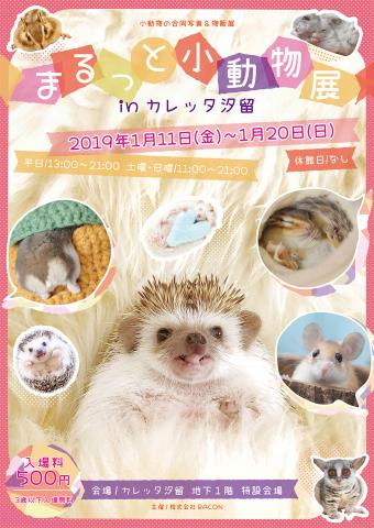 小動物の合同写真&物販展「まるっと小動物展 in カレッタ汐留」 小動物の合同写真&物販展「まるっと小動物展 in カレッタ汐留」